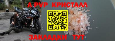 прущие грибы Дубна