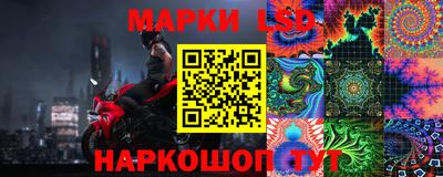 прущие грибы Дубна